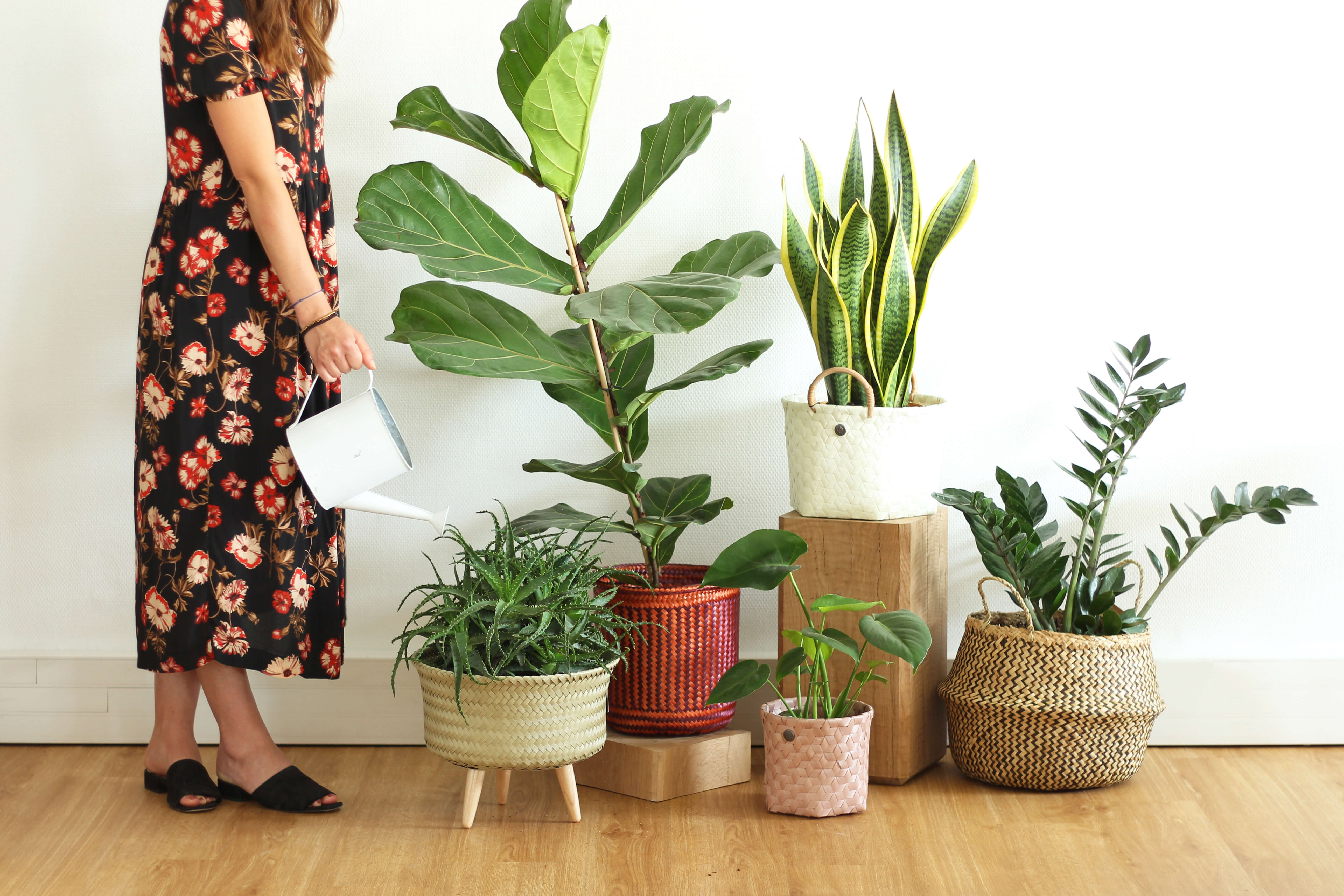 10 accessoires pour prendre soin de ses plantes pendant les vacances