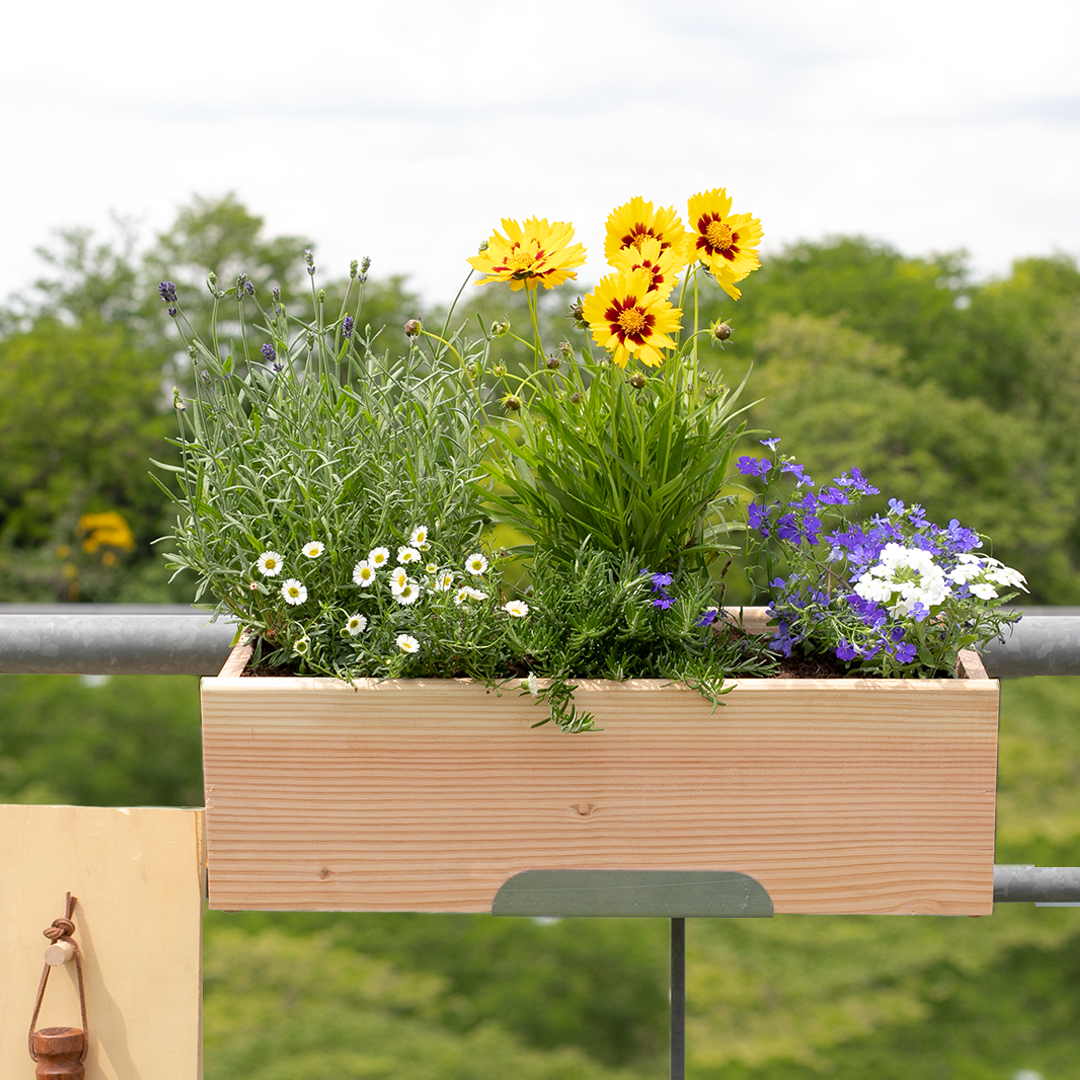 Des fleurs pour les abeilles