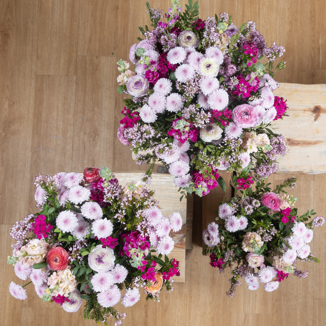 Nos fleurs du 13 novembre au 19 novembre