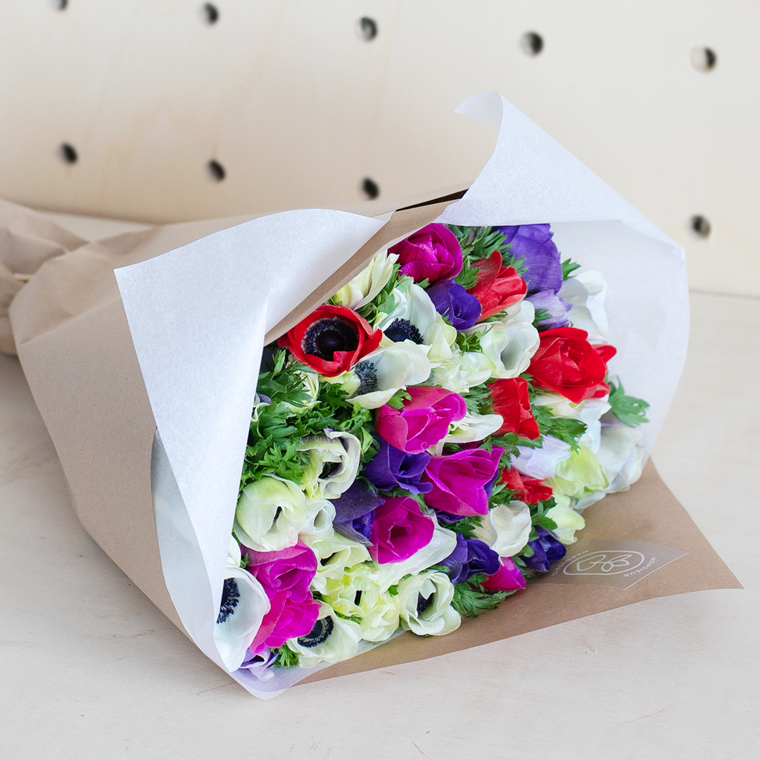 Monsieur Marguerite fête l'Anémone !