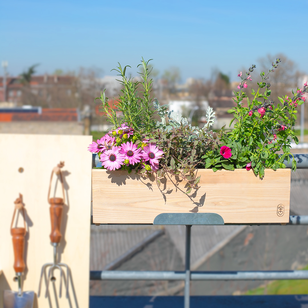 La jardinière mi-ombre mi-soleil