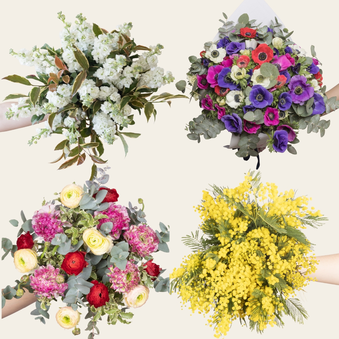 Quelle fleur offrir pour la Fête des Grands-Mères ? 
