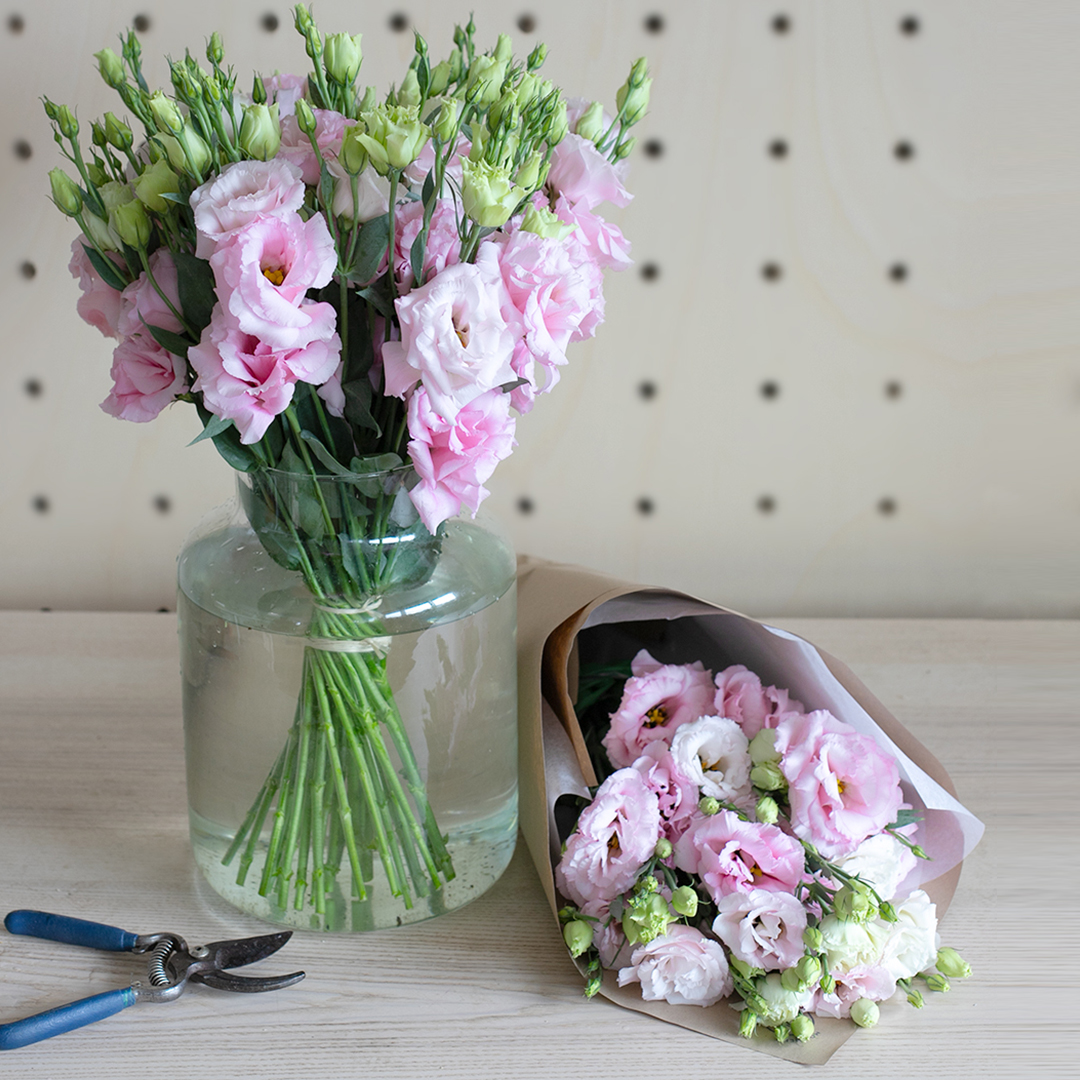 Focus sur le Lisianthus 