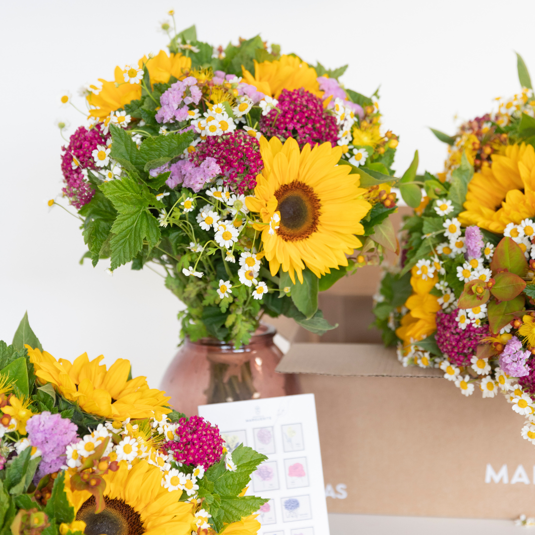 Le Slow Flower et  Monsieur Marguerite