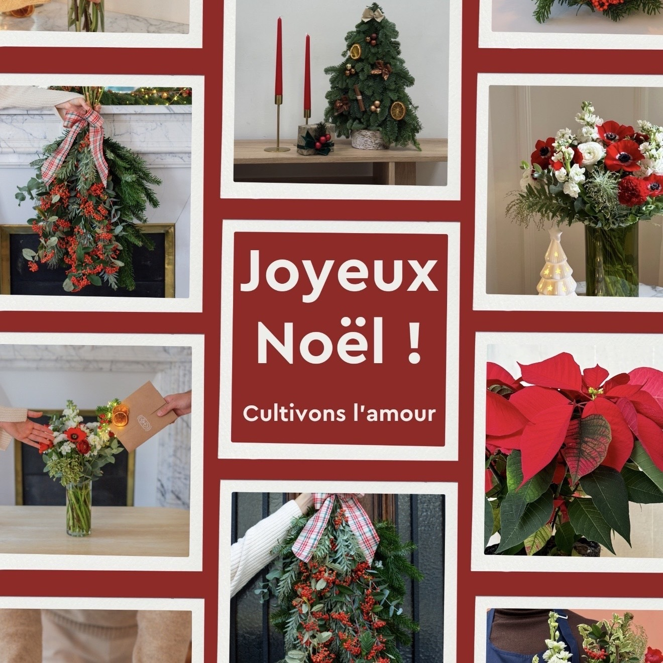 Joyeux Noël de la part de Monsieur Marguerite