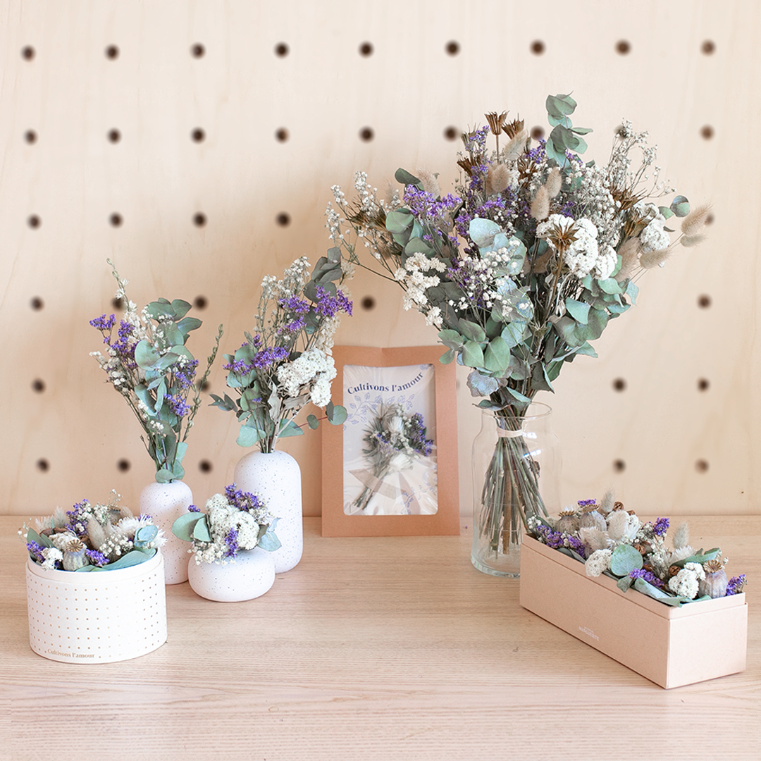 Découvrez notre collection séchée Brume