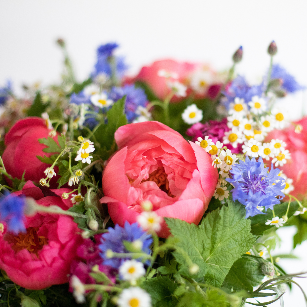 Nos fleurs du 5 juin au 18 juin 2023