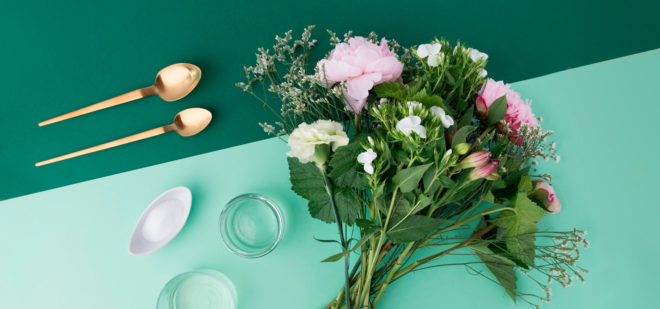 Soin nourrissant pour les fleurs