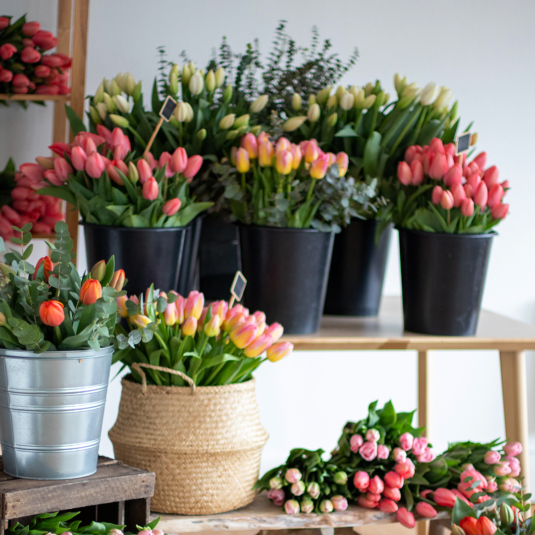 Monsieur Marguerite ouvre son Marché aux Tulipes ! 