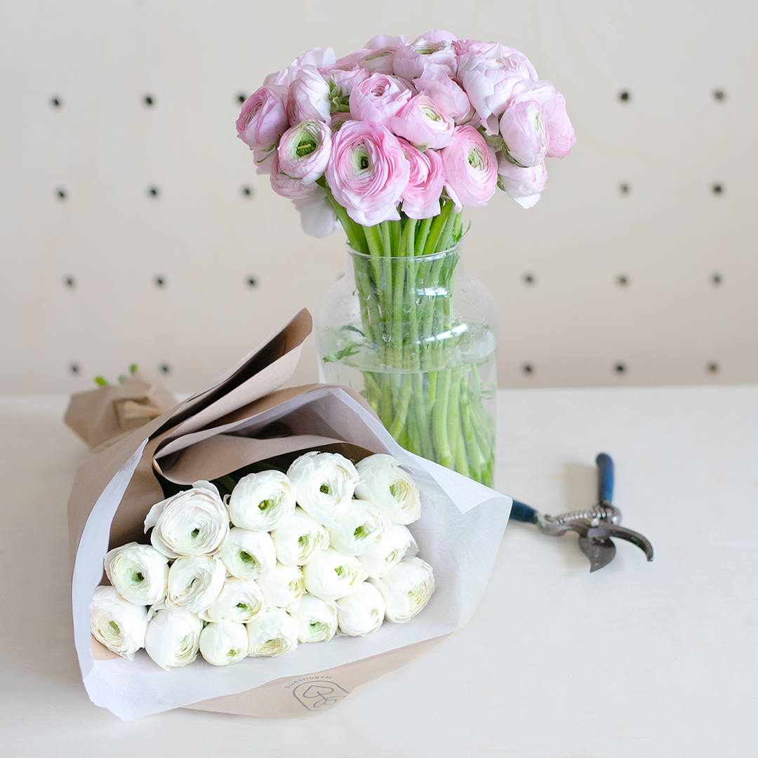 Monsieur Marguerite fête la Renoncule