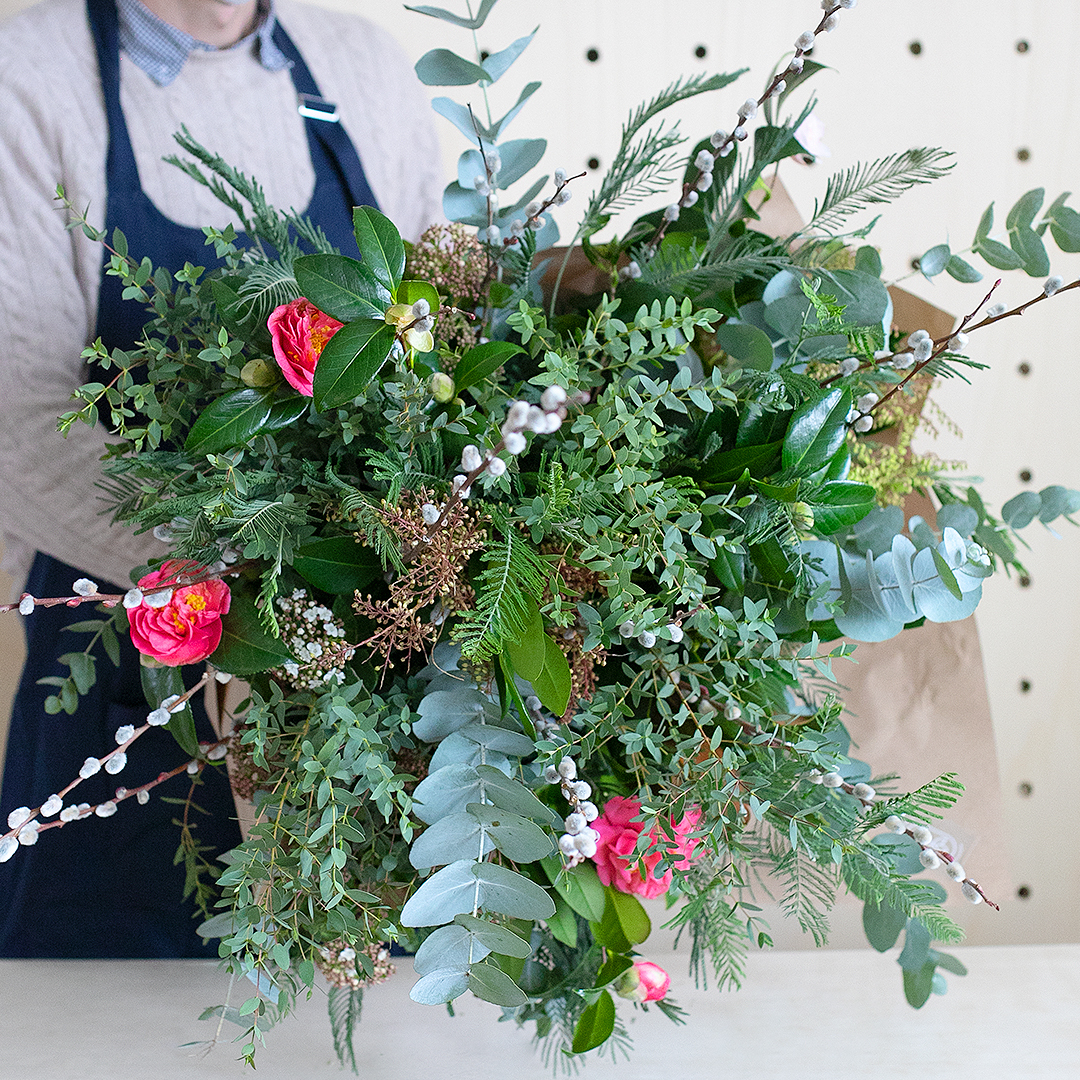 Notre nouvelle lisière de forêt 
