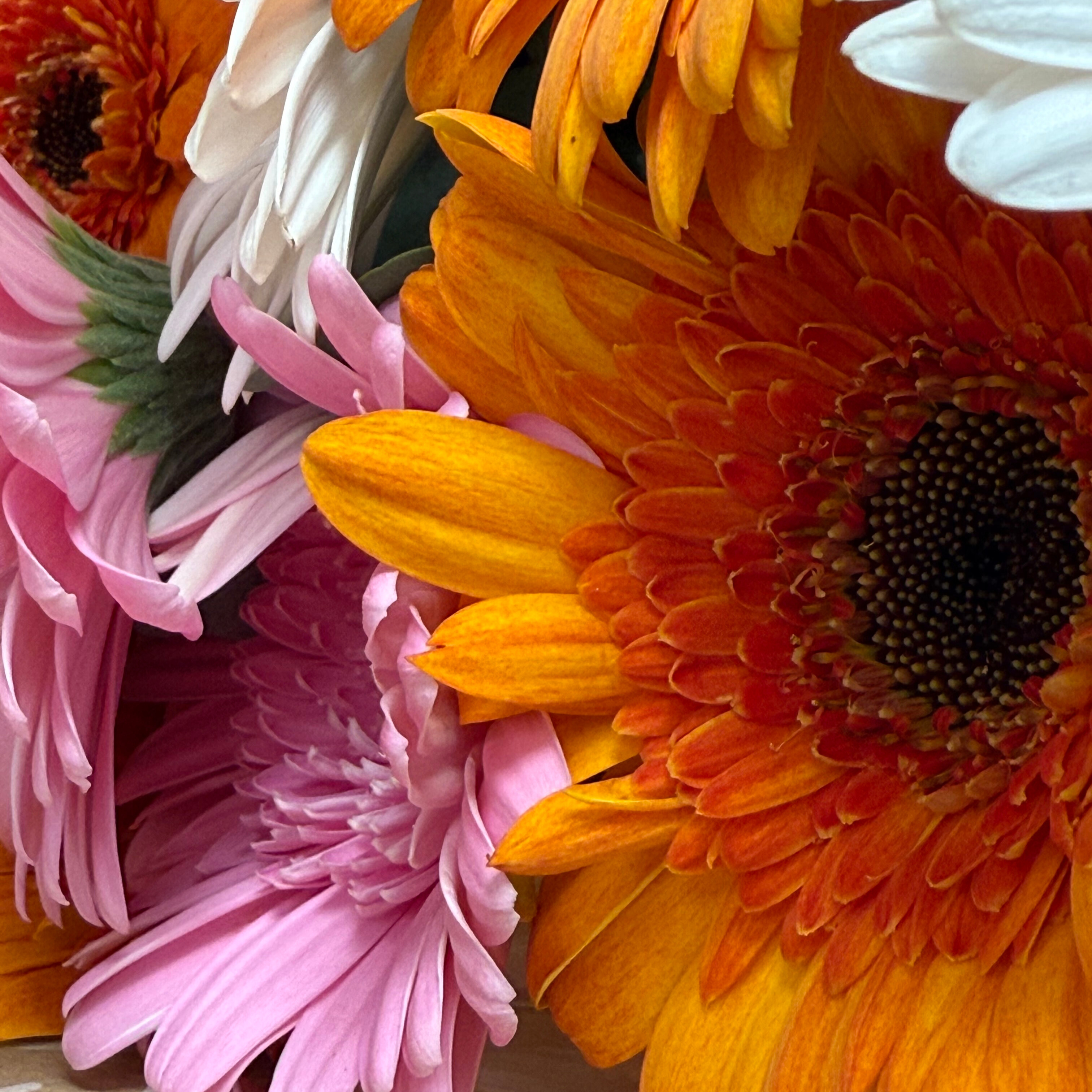 Nos inspirations florales pour un automne tout en douceur