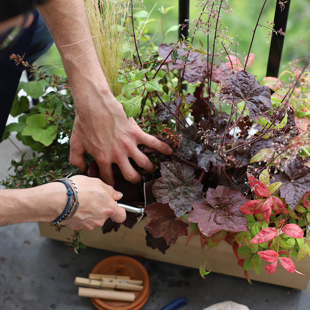 Guide de plantation pour jardinière 