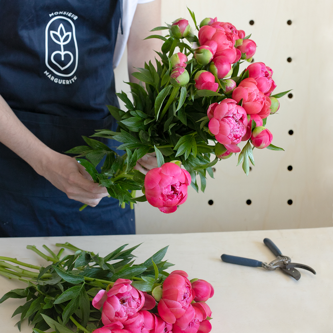 La saison des Pivoines