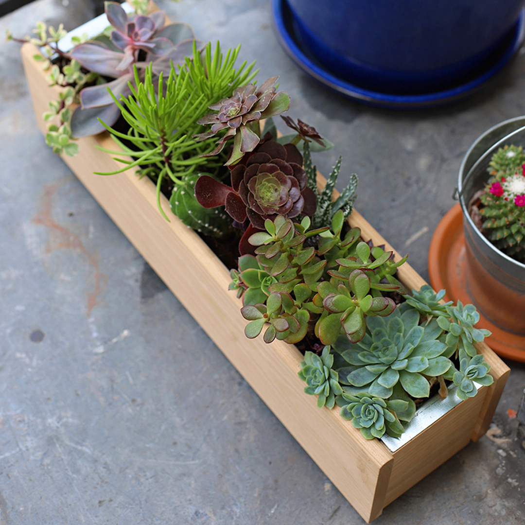 Petit guide d'entretien pour jardinière d'intérieur