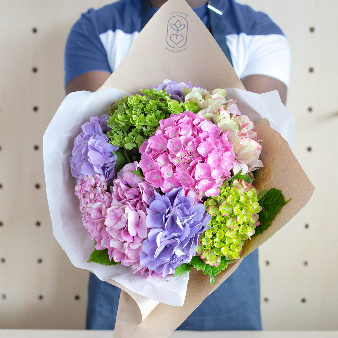 Le Camaïeu d'Hortensias