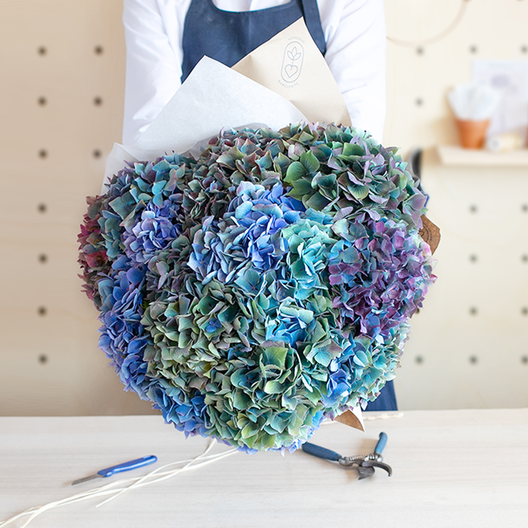 La fête de l'Hortensia