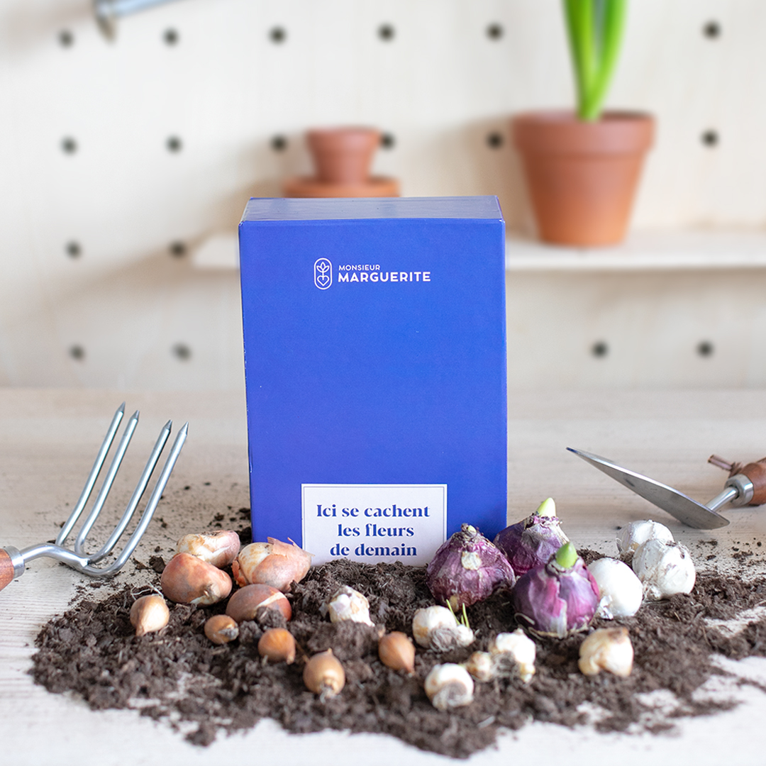 Notre Coffret à planter