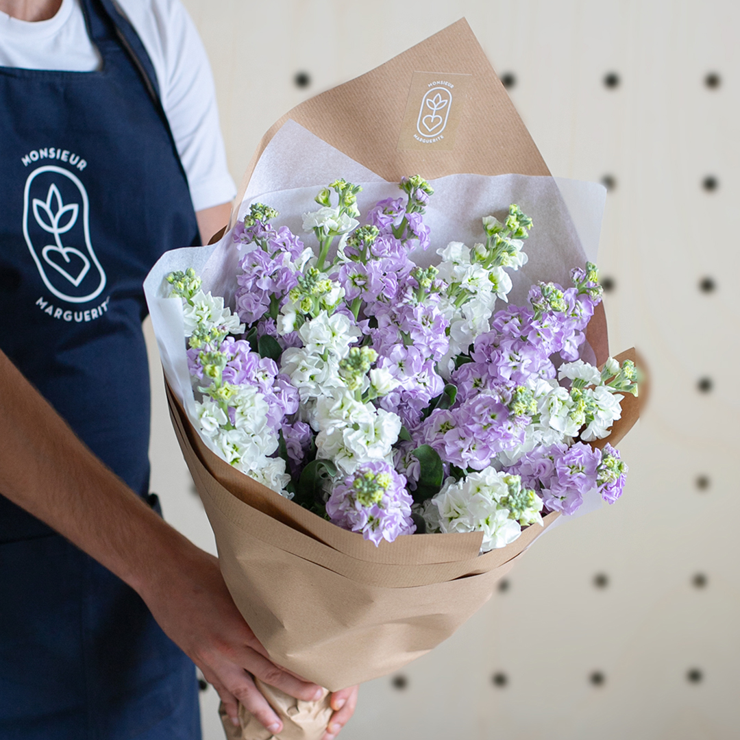 Zoom sur les Giroflées d'Automne 