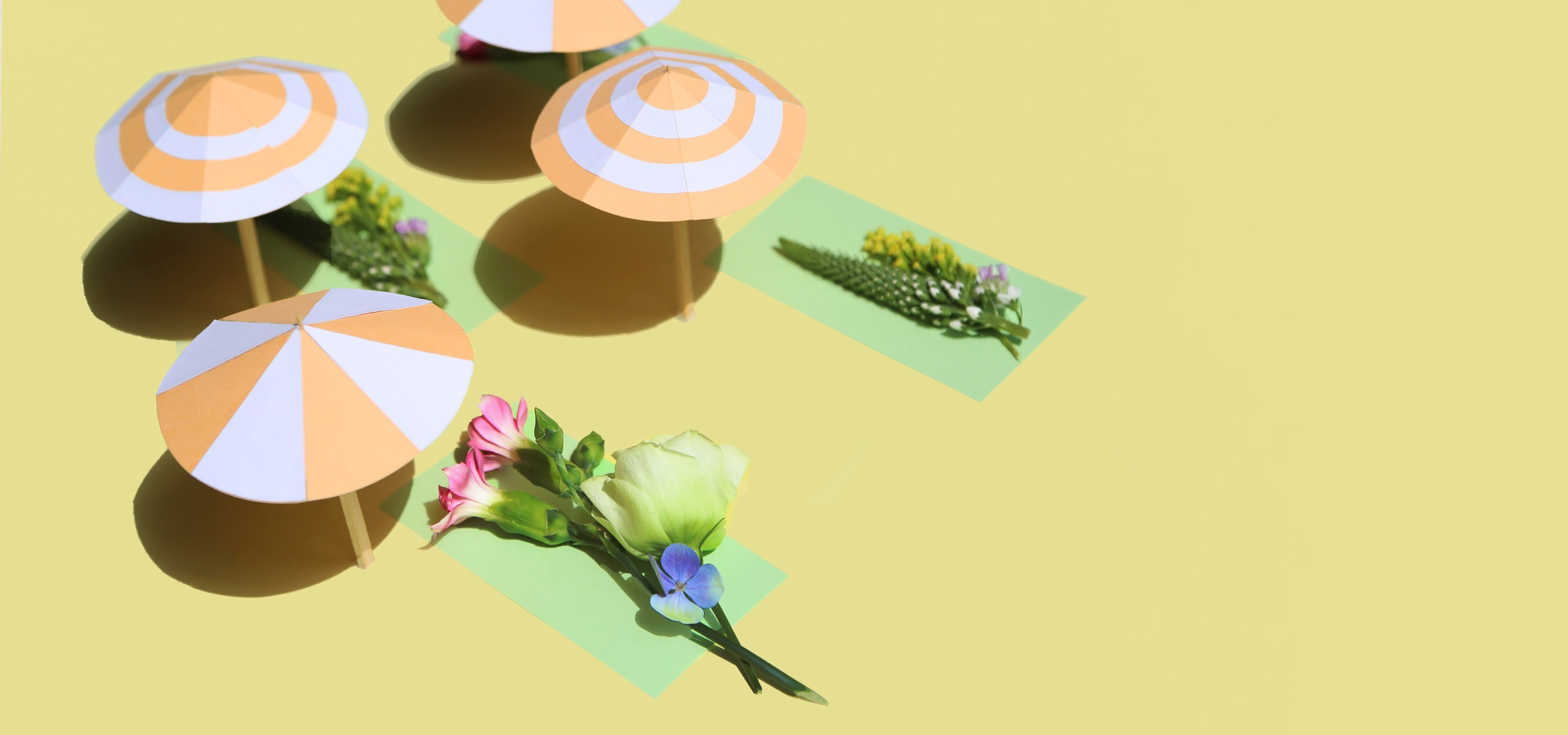 Les fleurs et la canicule: guide de survie !