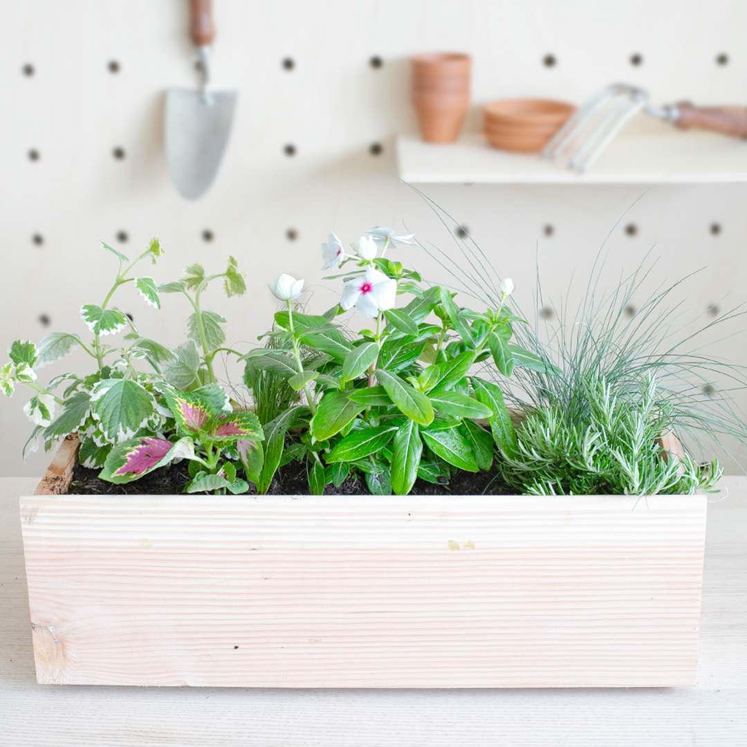 Notre jardinière Paysage de Pampa