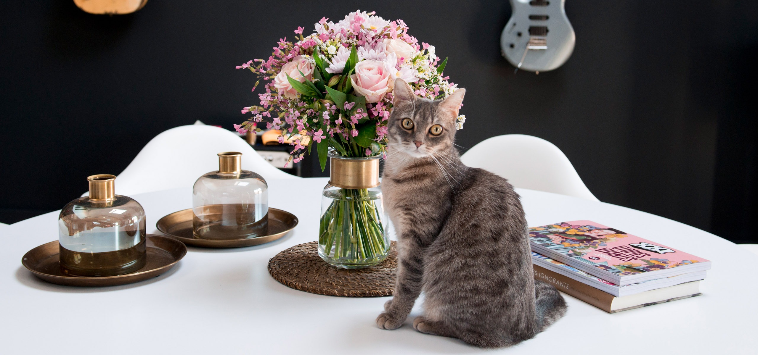 Dossier Les Fleurs Et Les Plantes Toxiques Pour Les Chats