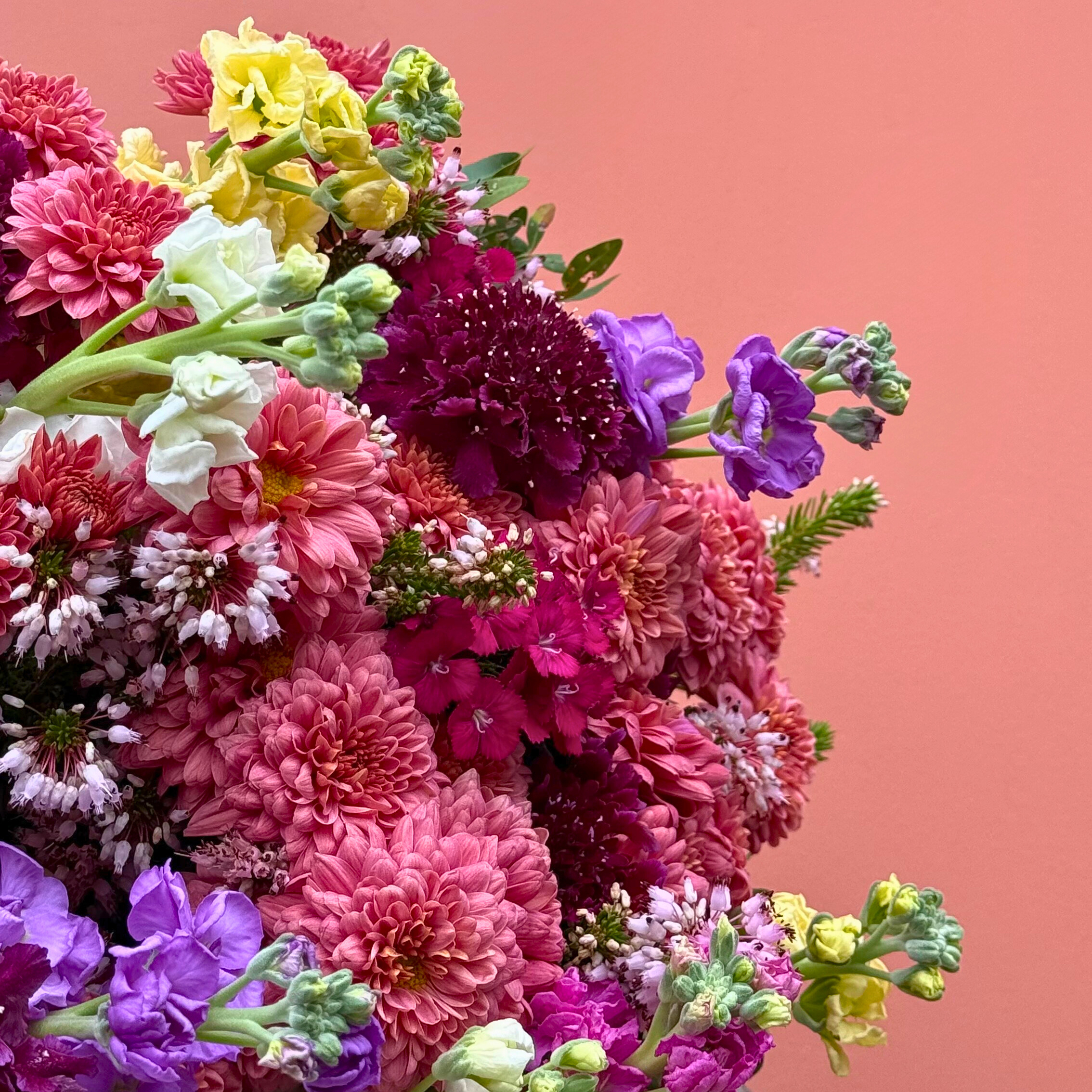 Nos fleurs du 29 octobre au 18 novembre