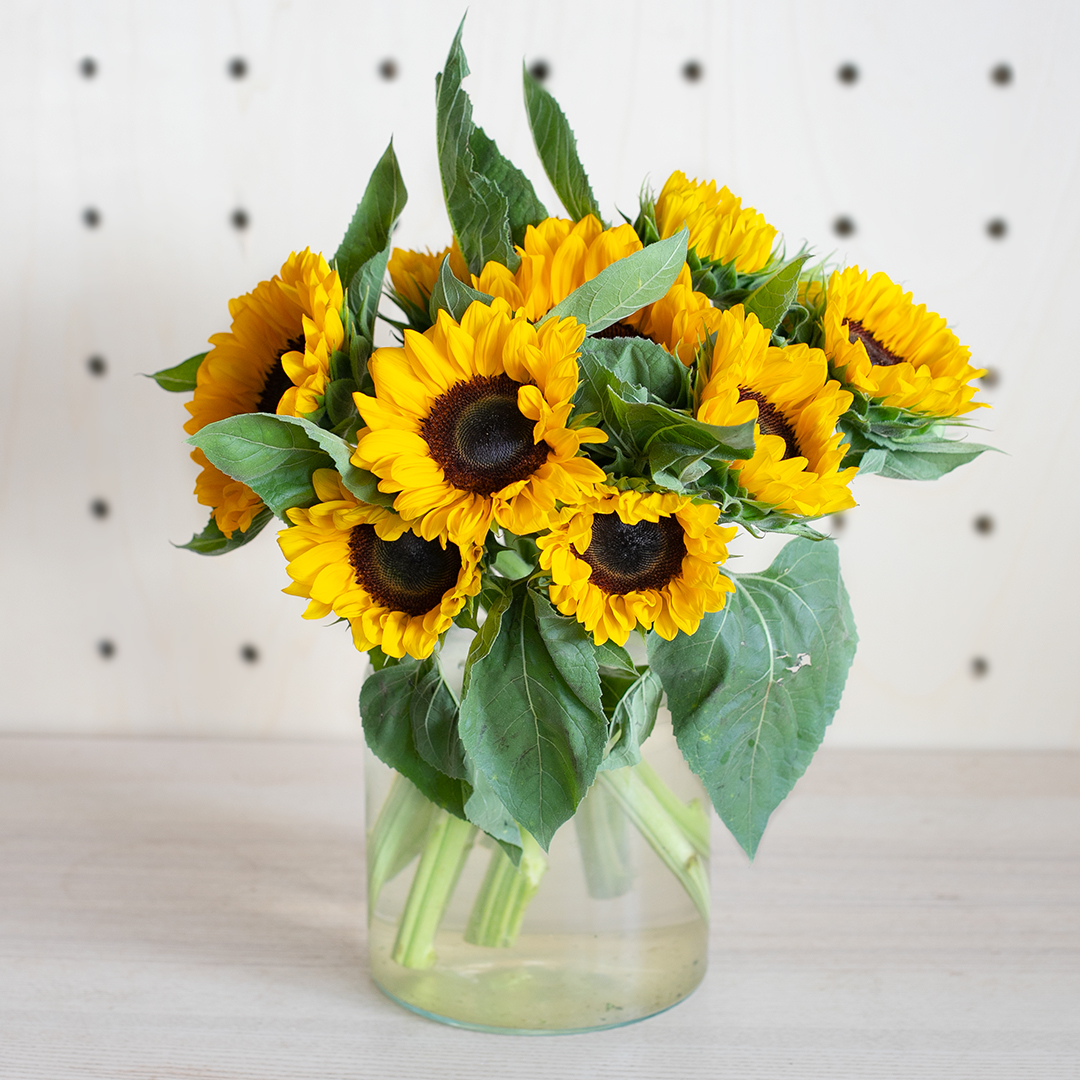 La fête du Tournesol