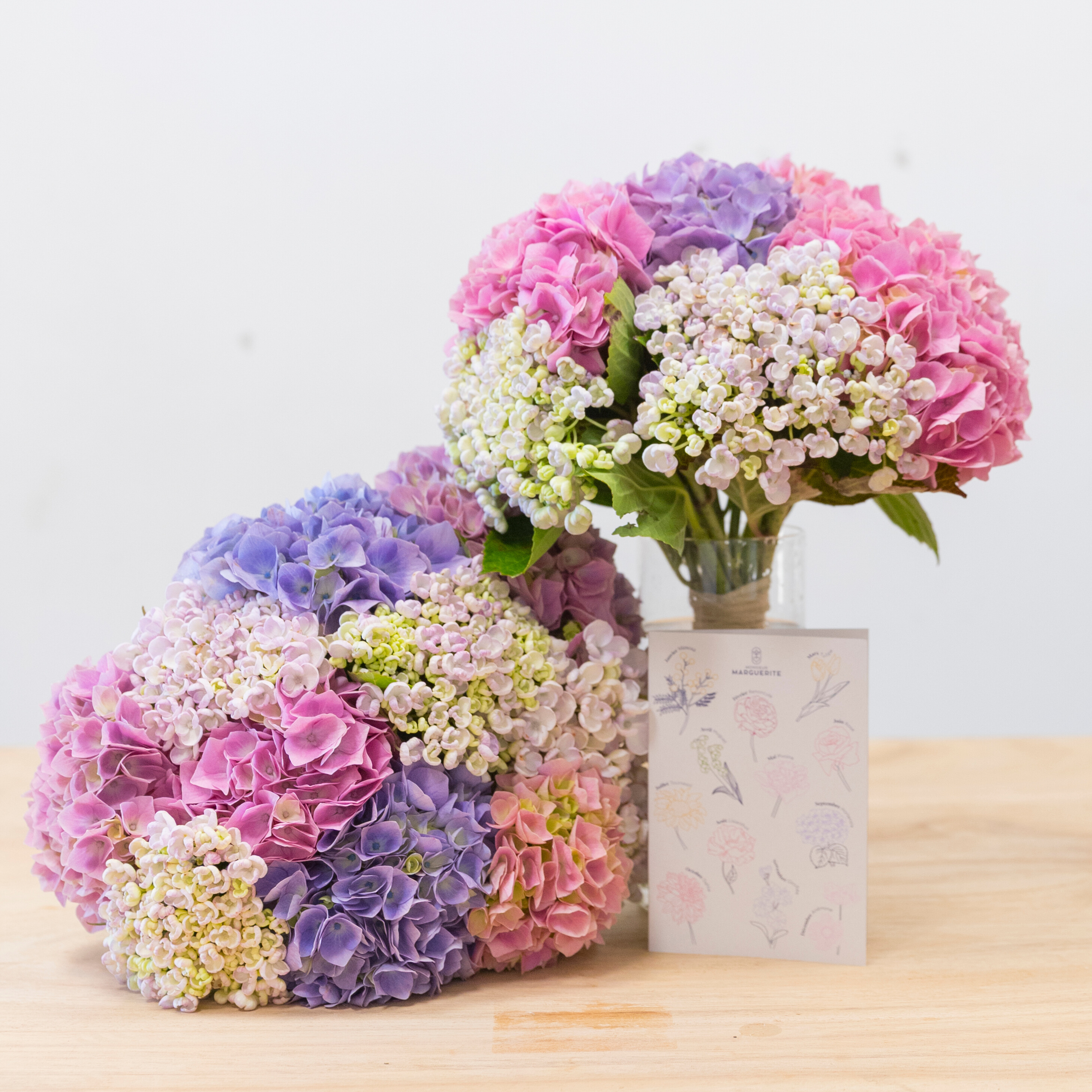 Les couleurs de l'Hortensia et leurs significations