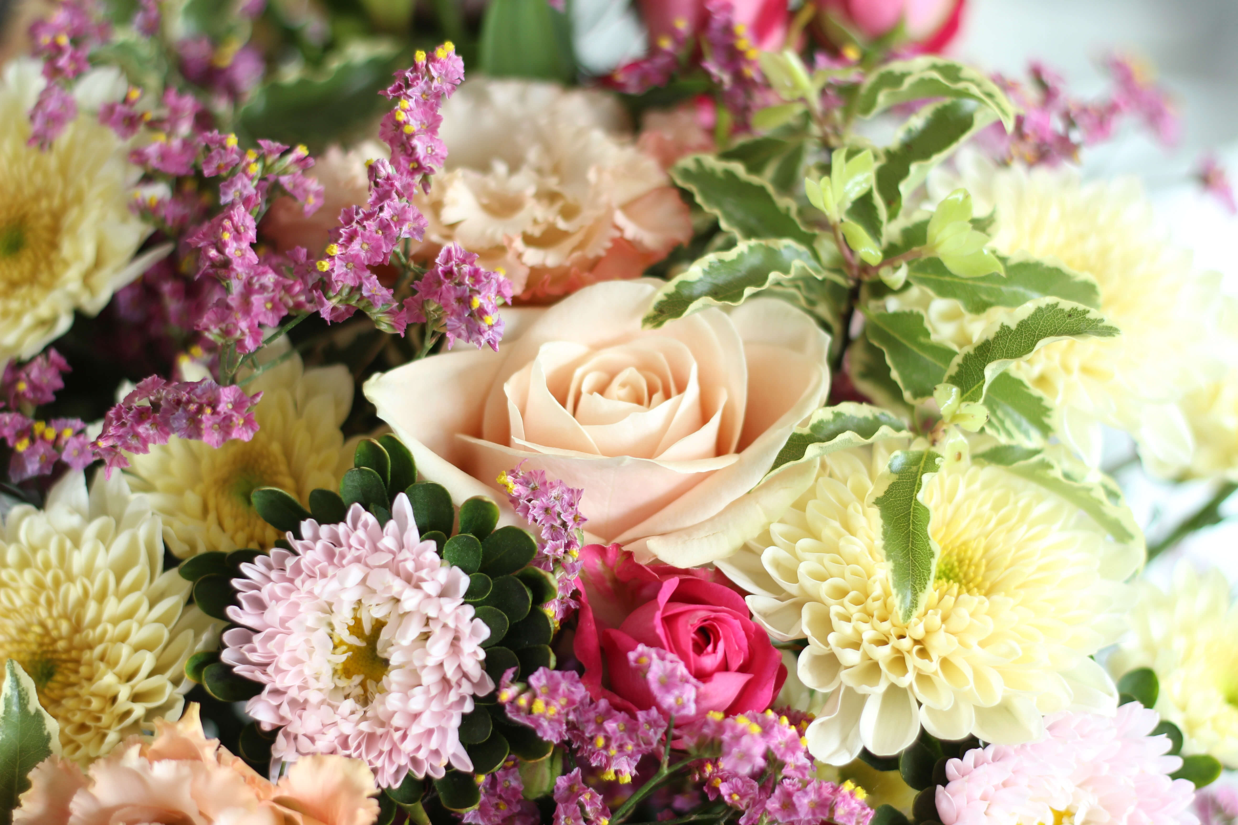 Cadeau fleuri pour une pendaison de crémaillère