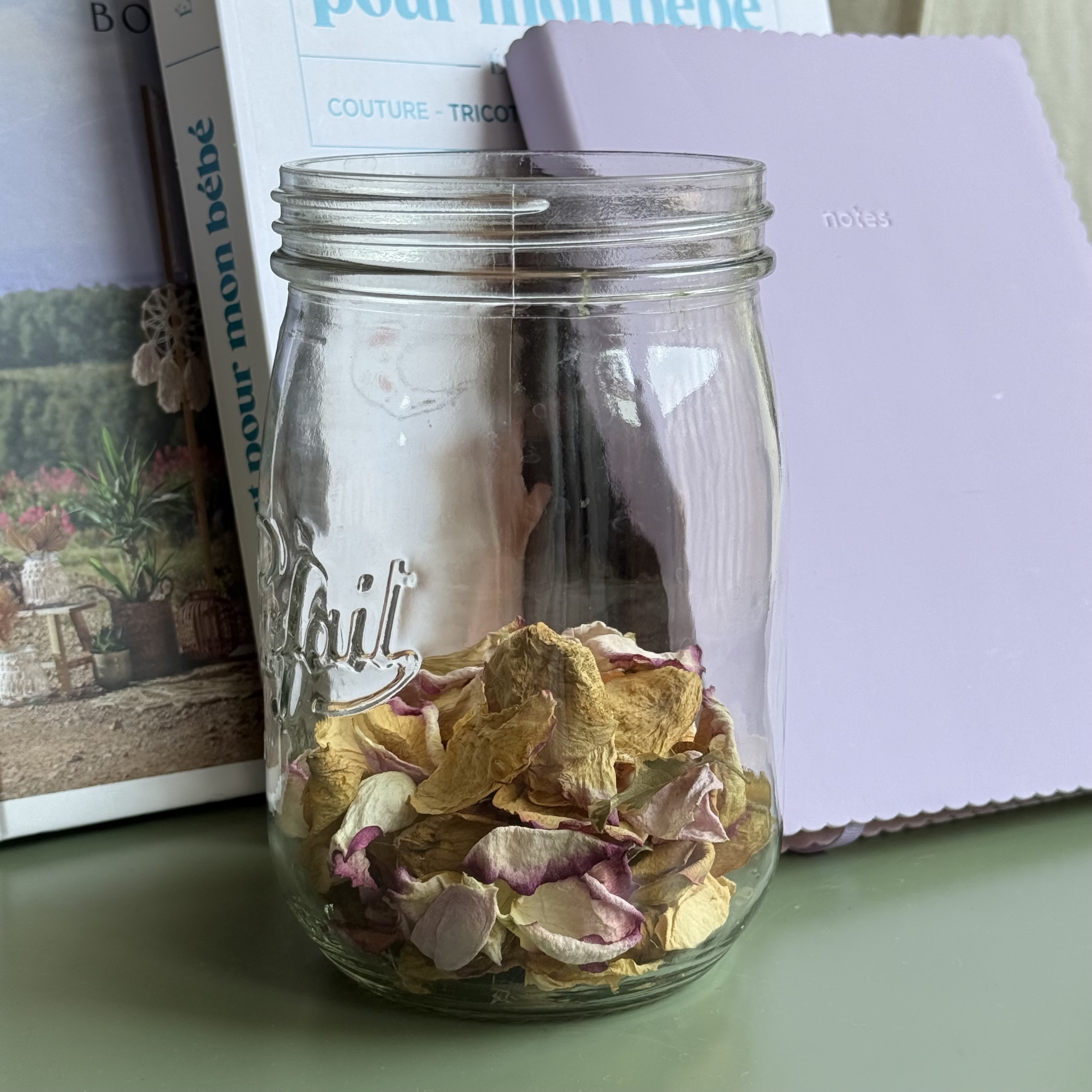 Que deviennent nos bouquets d’automne quand ils fanent ? Conseils pour les faire durer ou les transformer