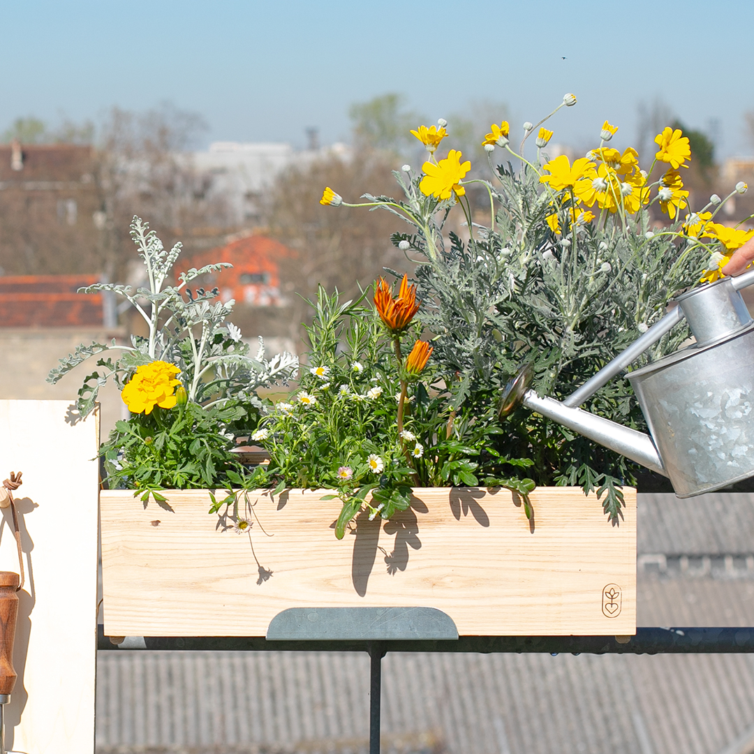 La jardinière plein soleil 