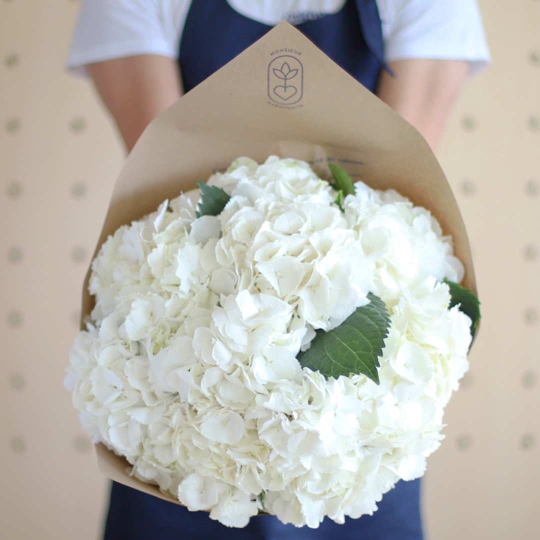 Les Hortensias sont de retour !