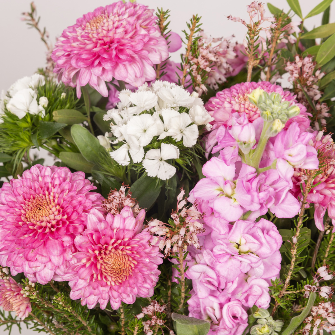 Nos fleurs du 6 novembre au 12 novembre