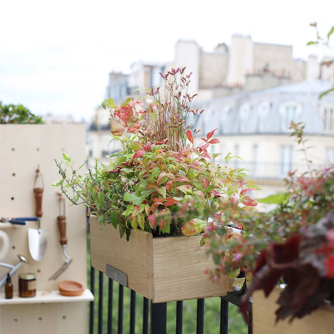 La jardinière d'exception Monsieur Marguerite 