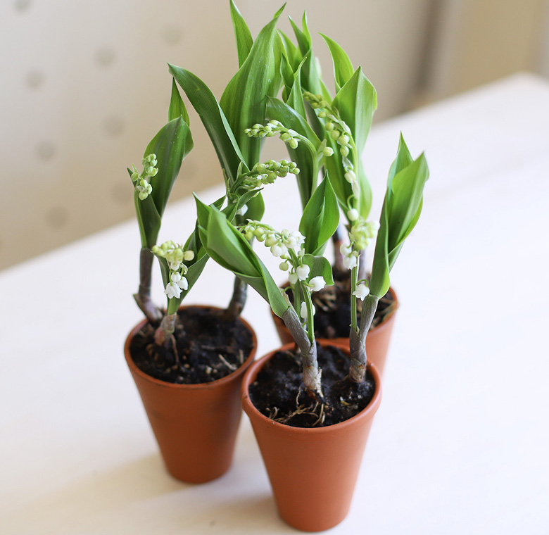 Pour le 1er mai, offrez du Muguet Solidaire 