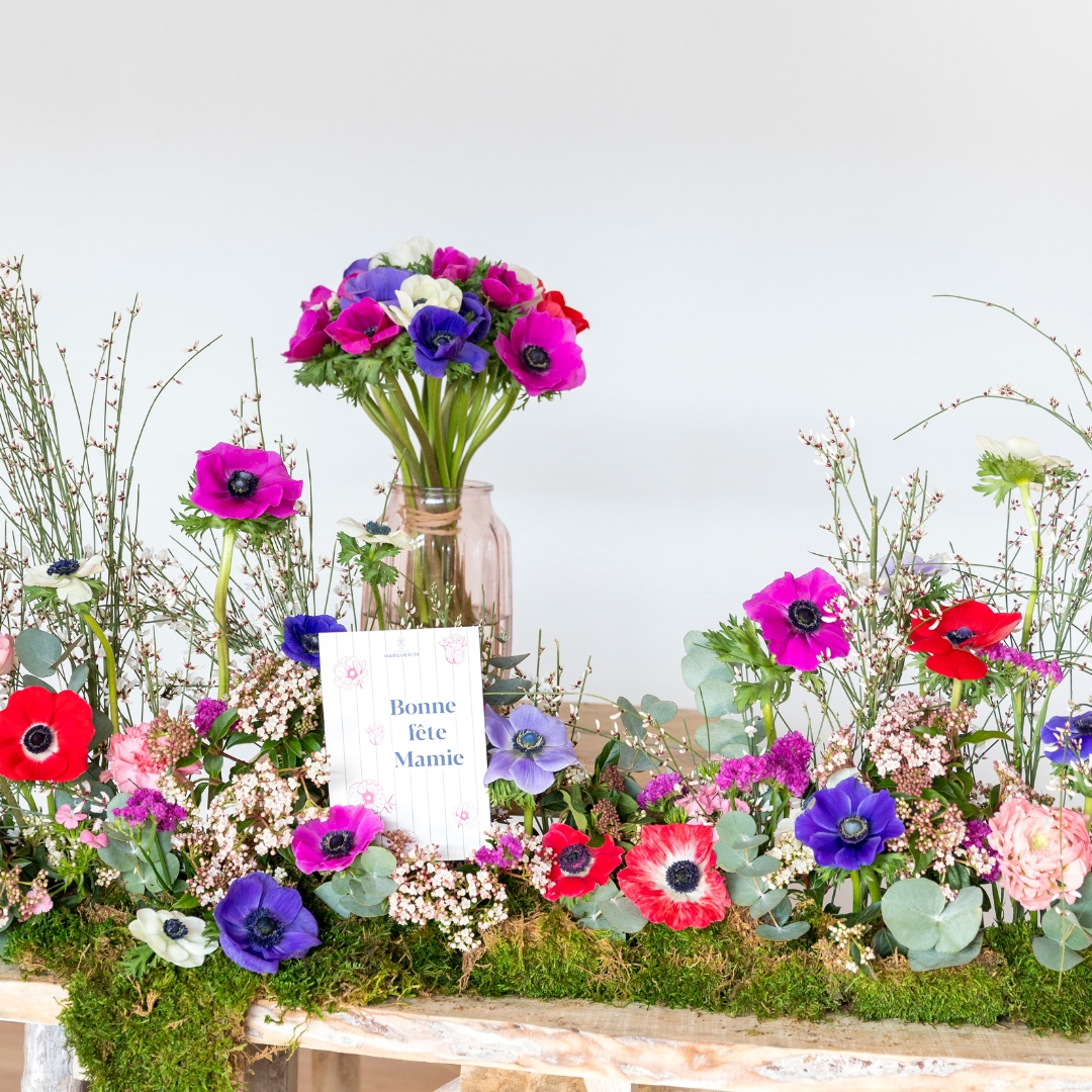 Découvrez notre collection pour la Fête des Grands-Mères !