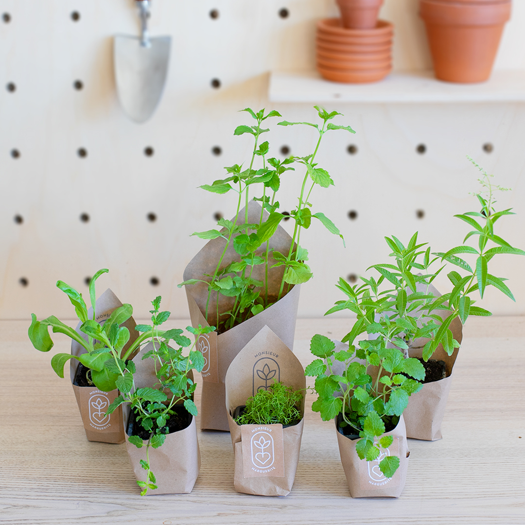 Nos Assortiments Fleurs Comestibles et Fleurs à infuser BIO