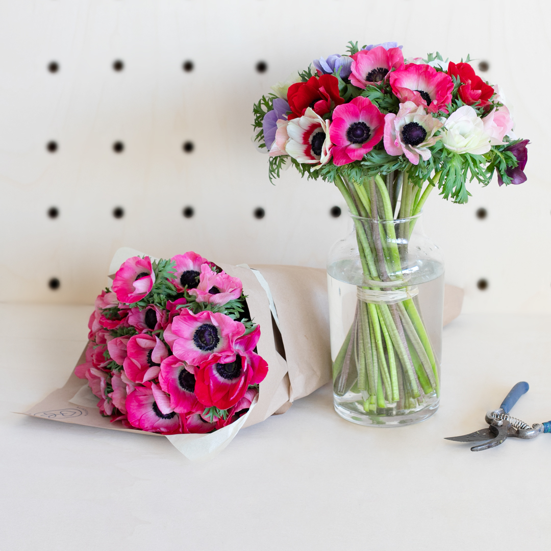 Entretien des Anémones