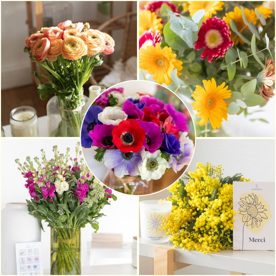 Top 5 des fleurs préférées de nos mamies et leur signification !