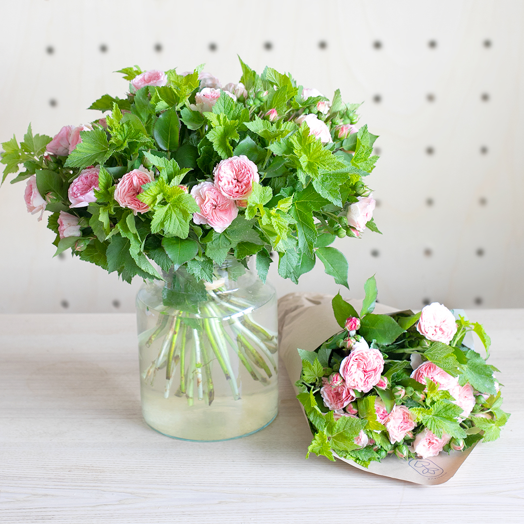 Entretien des Roses en vase