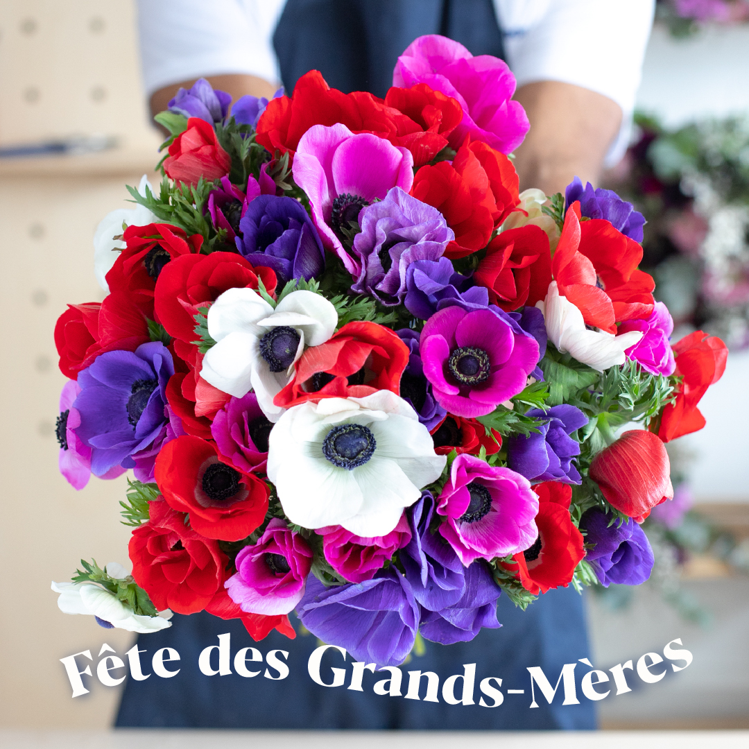 Quelles fleurs choisir pour la Fête des Grands-Mères ? 