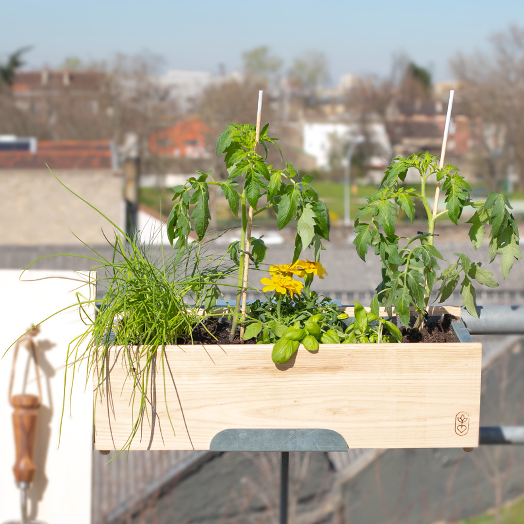 Nos jardinières potagères