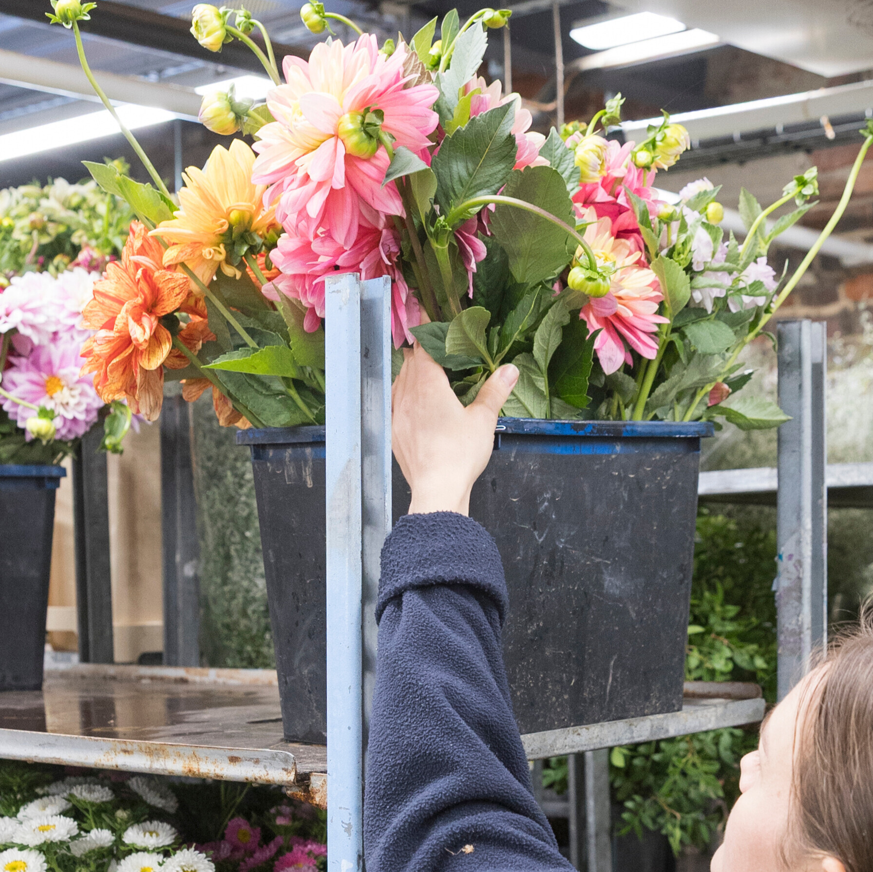 Fleurs locales vs fleurs importées : quelles différences ?