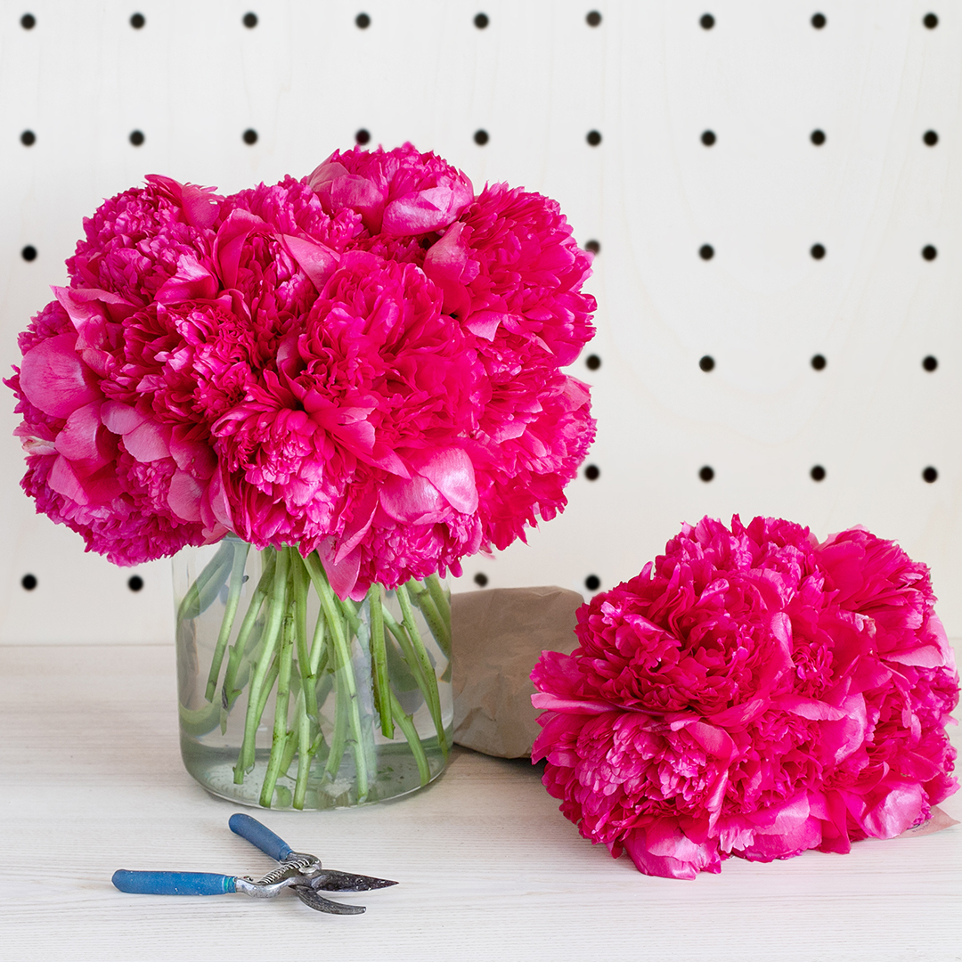 La fête des mères chez Monsieur Marguerite