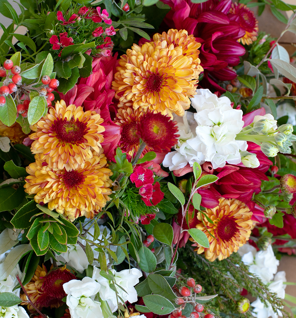 Les fleurs d'Automne