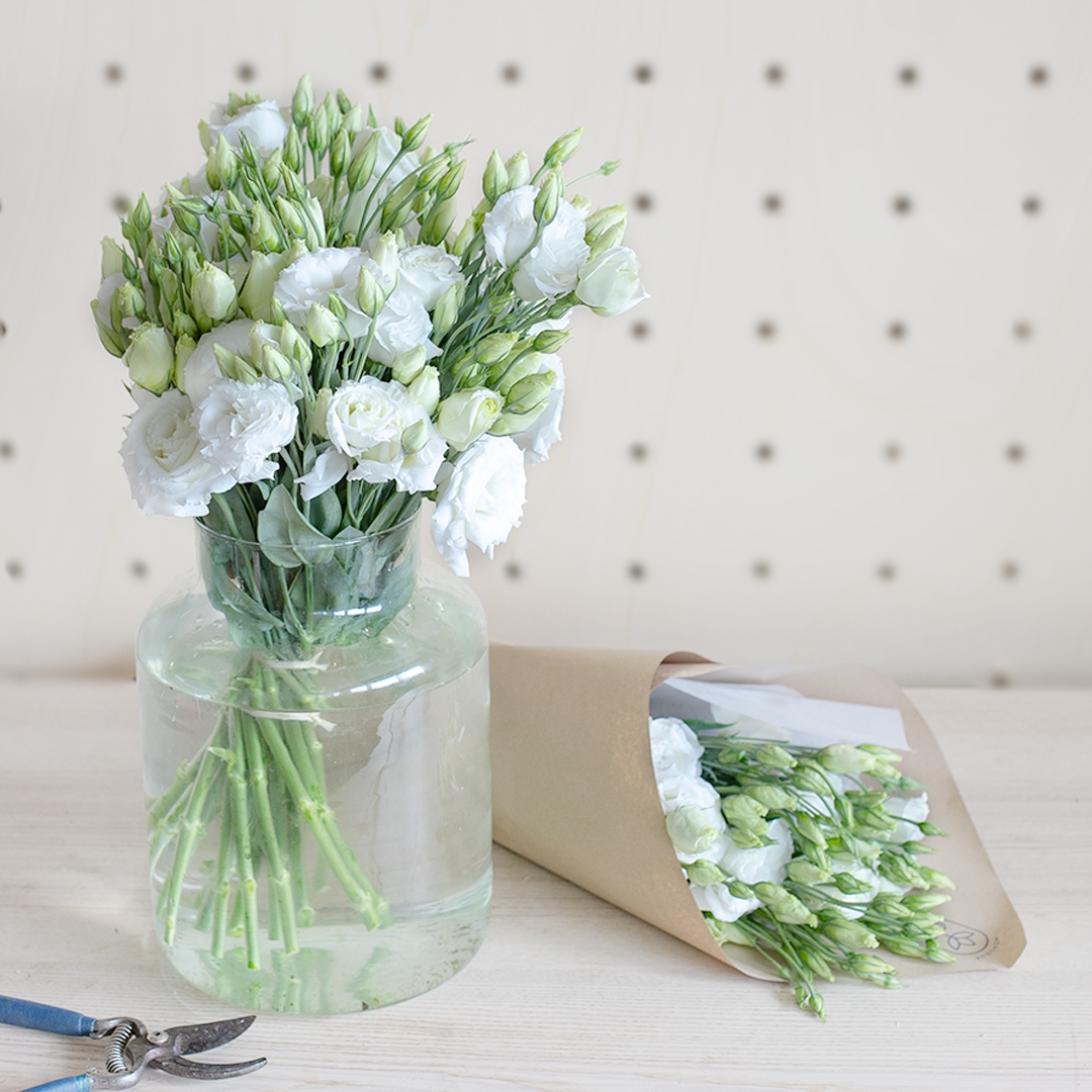 Entretien des Lisianthus