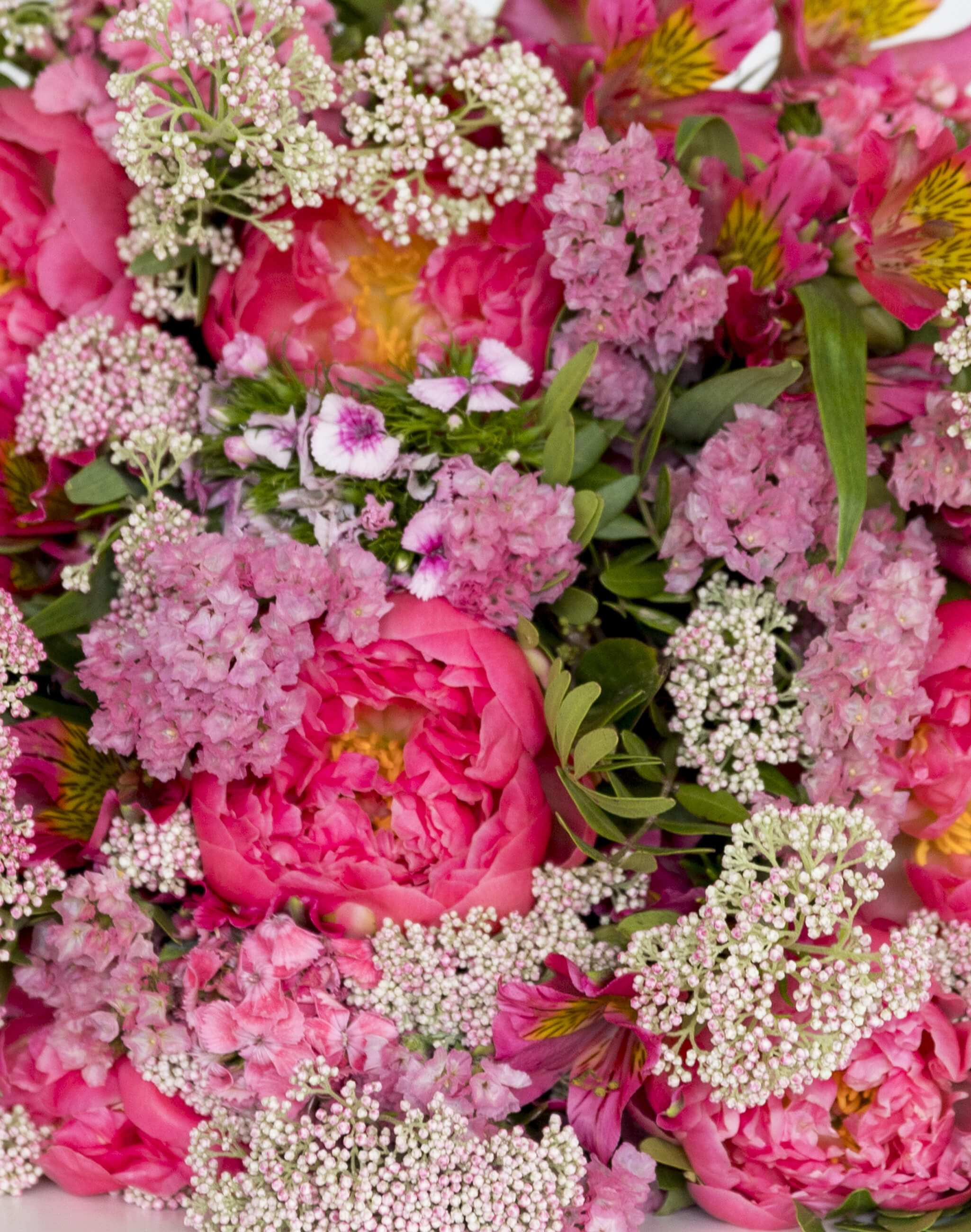 Soutenons les fleurs françaises
