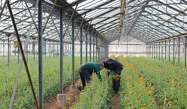 Des engagements au service de la Nature et des Horticulteurs