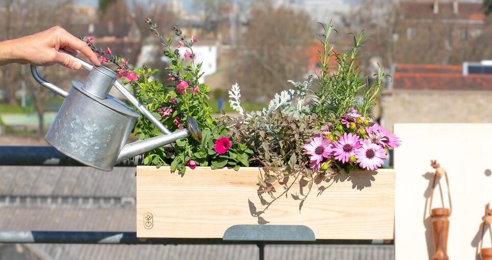 Jardinières Monsieur Marguerite